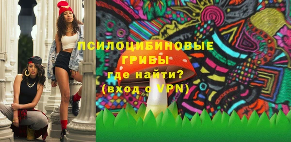 PSILOCYBIN Балахна