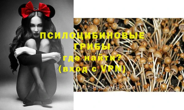 PSILOCYBIN Балахна
