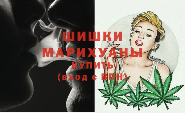 PSILOCYBIN Балахна