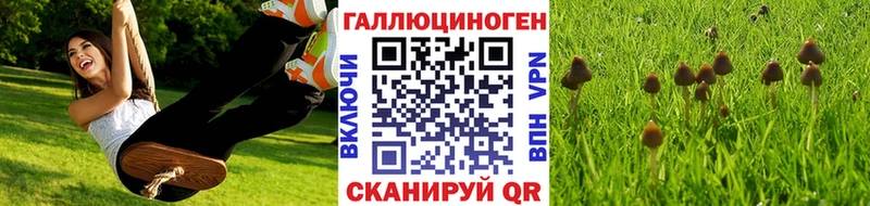 Псилоцибиновые грибы мухоморы  наркотики  Ладушкин 